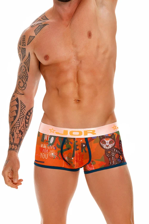 1643 DF BOXER PRNTED 3 1643 DF BOXER PRNTED