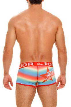 1752 PARTY BOXER PRINTED -Jor Tienda de ventas 1752 PARTY BOXER PRINTED 2
