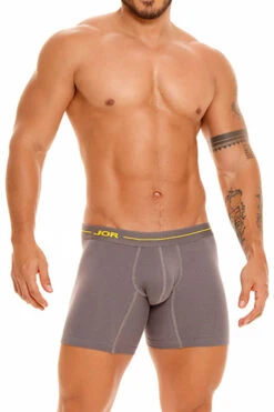 1834 DAILY LONG BOXER GRAY