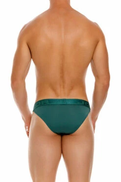 1953 ELEMENT BIKINI GREEN -Jor Tienda de ventas 1954 ELEMENT BIKINI GREEN 2