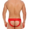 2049 ELEMENT JOCKSTRAP RED 2 2049 ELEMENT JOCKSTRAP RED -Jor Tienda de ventas 2049 ELEMENT JOCKS RED 2
